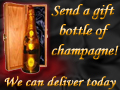 CHAMPAGNE GIFTS - US DELIVERY ONLY