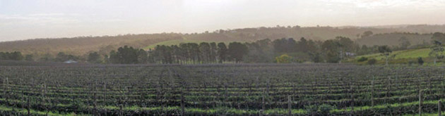 Cape Barren Winery - McLaren Vale