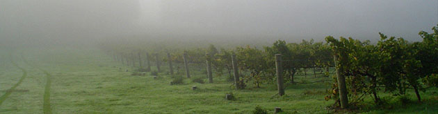 Cavalier Crest Winery, Margaret River Cavalier Crest Winery, Margaret River