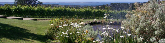 Red Hill Estate Mornington Peninsula Red Hill Estate Mornington Peninsula
