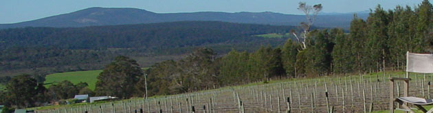 Somerset Hill Winery, Denmark Western Australia Somerset Hill Winery, Denmark Western Australia