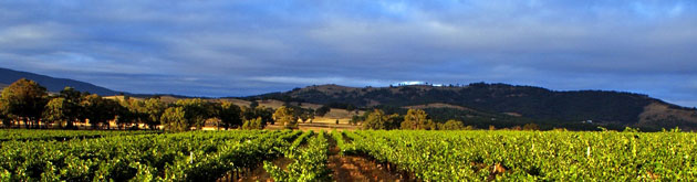 Taltarnie Estate in the Pyrenees Region, Victoria Taltarnie Estate in the Pyrenees Region, Victoria